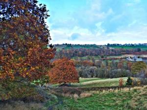 Back towards Tofts