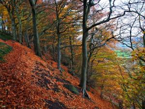 Near Hallam Head
