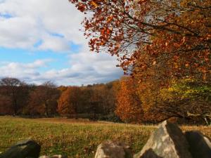 Hill Top