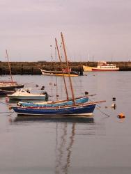 Beautiful Brid