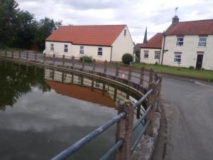 Huggate village pond