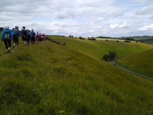 Looking down the wold