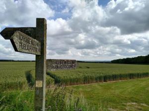 Out in The Wolds